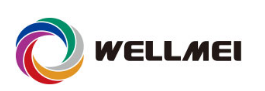 DONG GUAN WELLMEI MOLD MFG.CO.,LTD